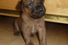 grünes Mädchen 3. Woche