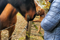 Welpen_N_10_6-scaled