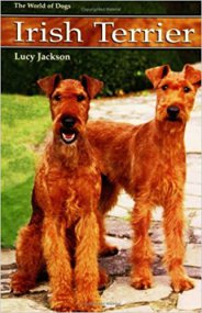 Lucy Jackson
Irish Terrier